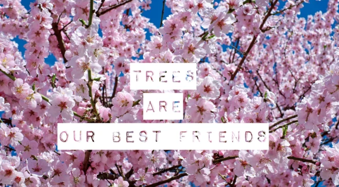 Trees are our best friends