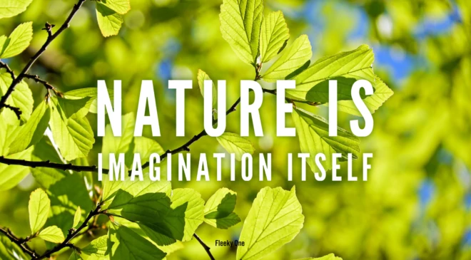 Nature is imagination itself