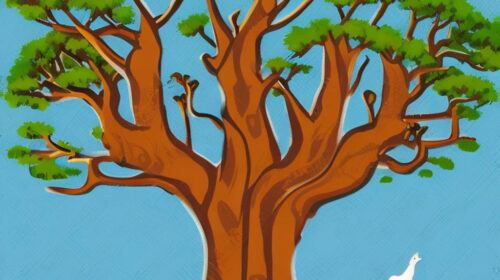 Sacred trees in Africa. Examples and symbolic significance: Baobab, Iroko, Mango, Neem, Tamarind