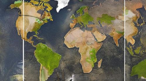 Most endangered tree species in Europe, Africa, Asia, Australia, North and South America, Madagascar