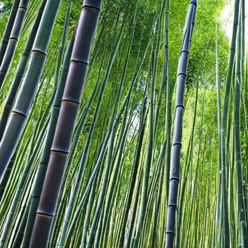 Going Green with Bamboo: Why Bamboo is the Sustainable Alternative to Plastic and Paper