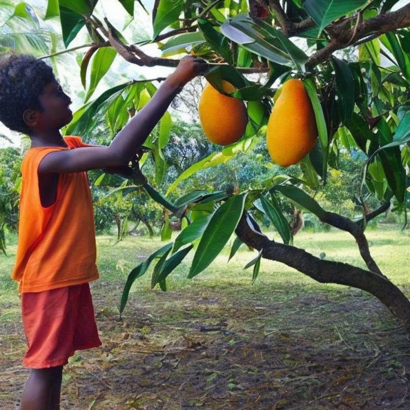 Welcome to The Mango Tree: Nature’s Sweetest Gift to the Forest! This lusciously sweet tree is the perfect addition to any forest, providing a delicious treat for all its inhabitants. Not only is it a tasty treat, but it’s also a great source of nutrition and vitamins, making it a great choice for those looking get a healthy snack. Plus, its unique shape and size make it a great conversation starter! So, come on down and get your hands on Nature’s Sweetest Gift – The Mango Tree!